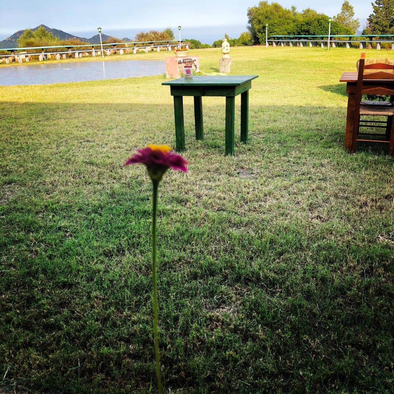 Affittacamere Is Bisus Castiadas Esterno foto
